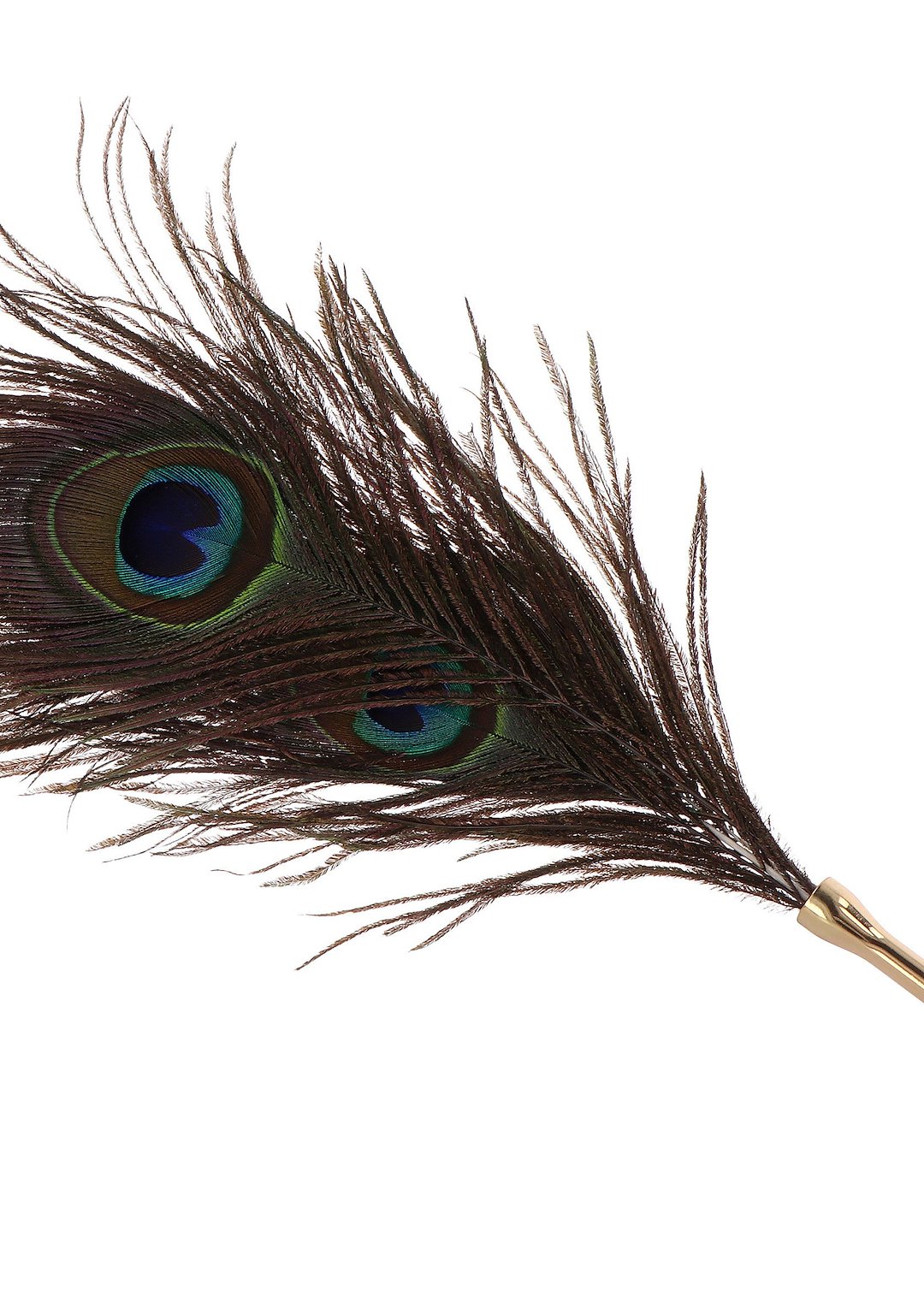 Taboom - Peacock Tickler — zdjęcie 4