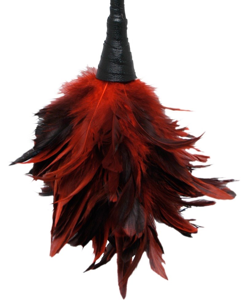 Fetish Fantasy Series - FFS Frisky Feather Duster — zdjęcie 2
