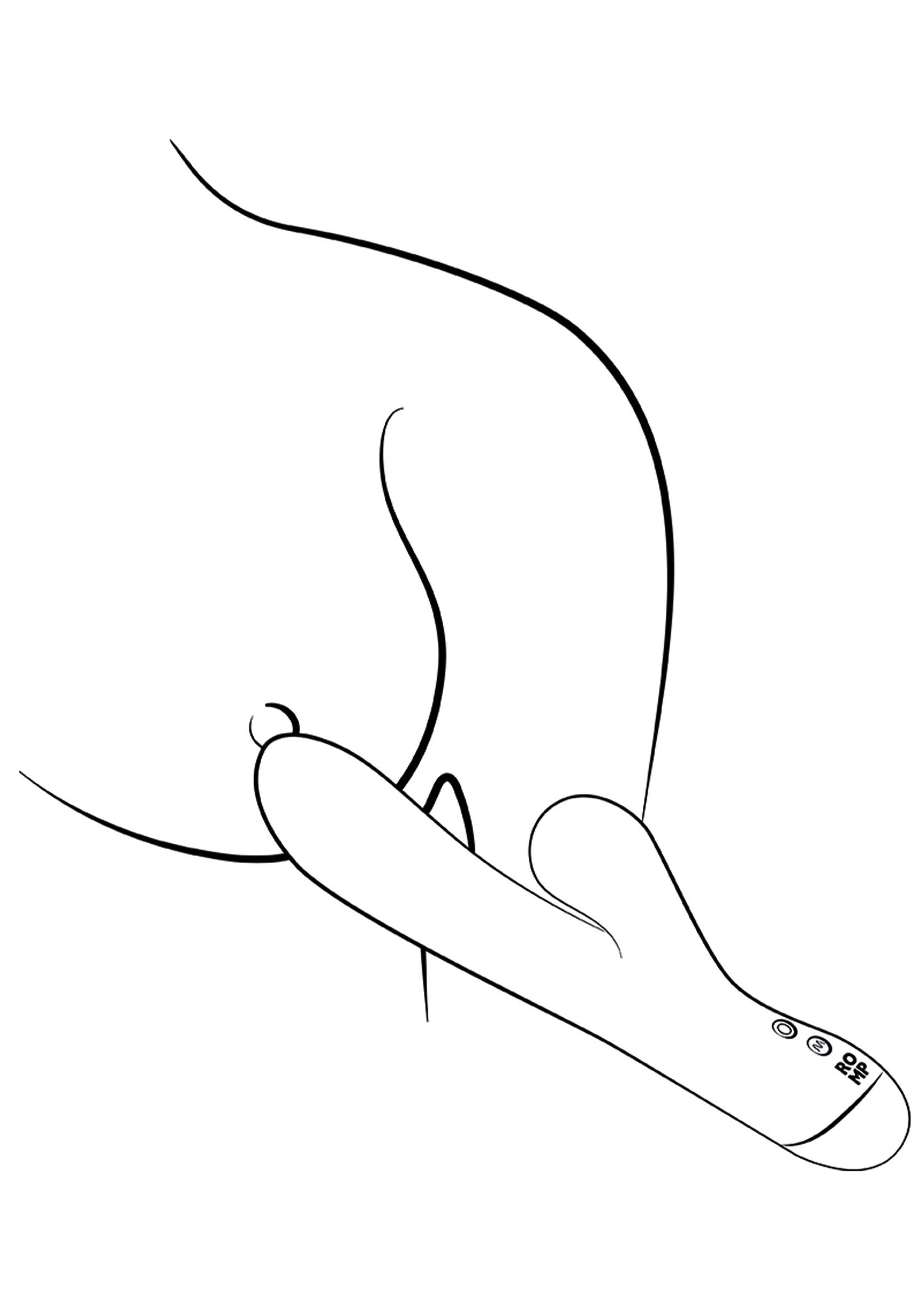 ROMP Pulse — zdjęcie 4