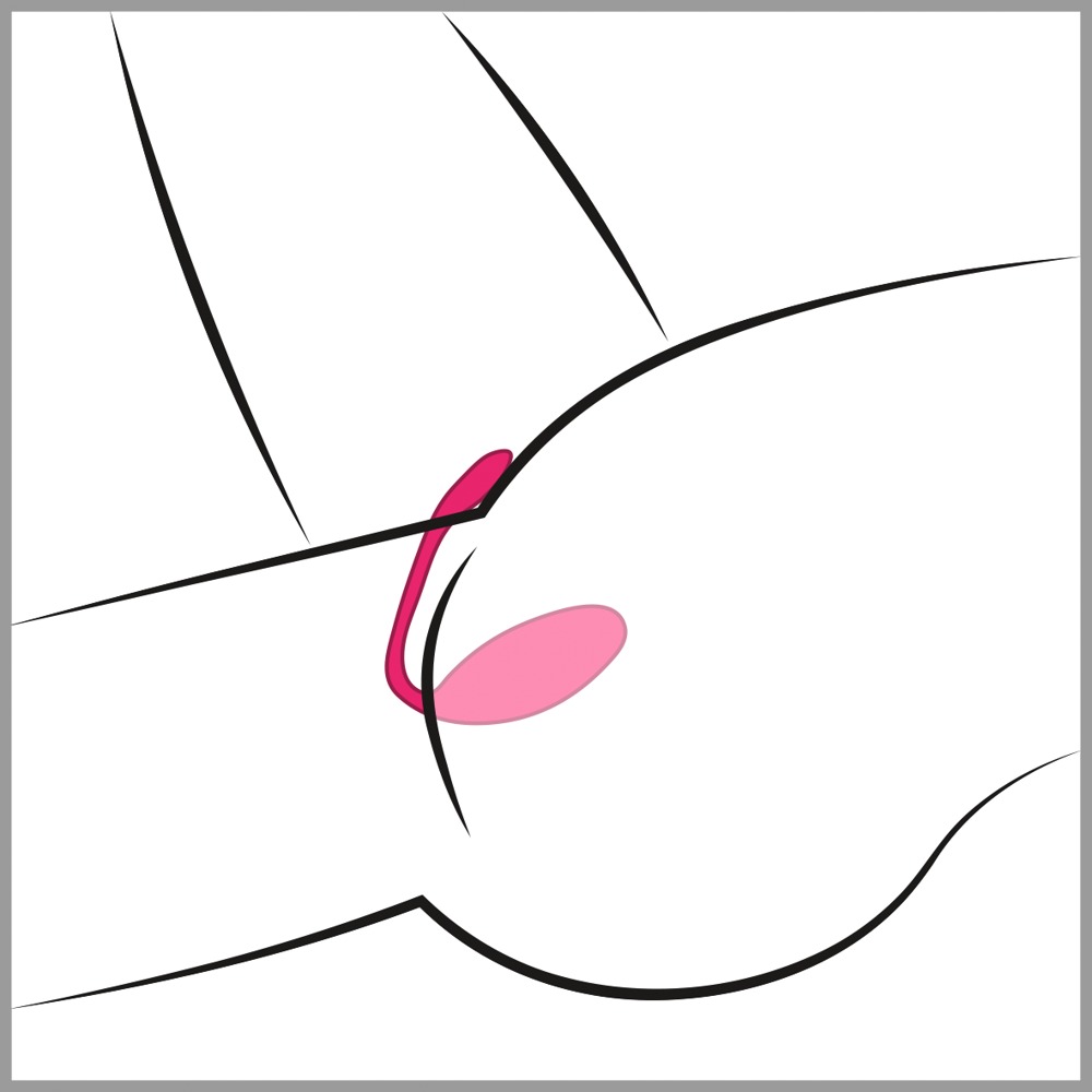 Lovense Lush 3 — zdjęcie 4