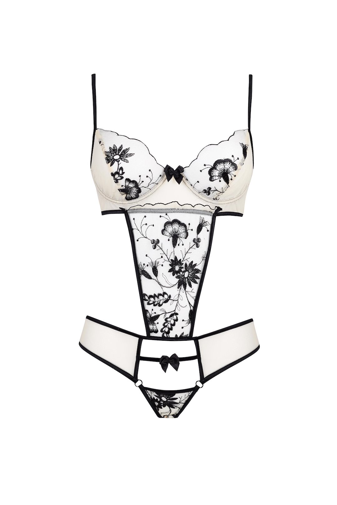 Beauty Night - Savannah teddy — zdjęcie 4