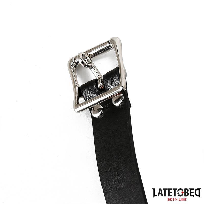 LATETOBED BDSM LINE - Double Penis Gag — zdjęcie 4