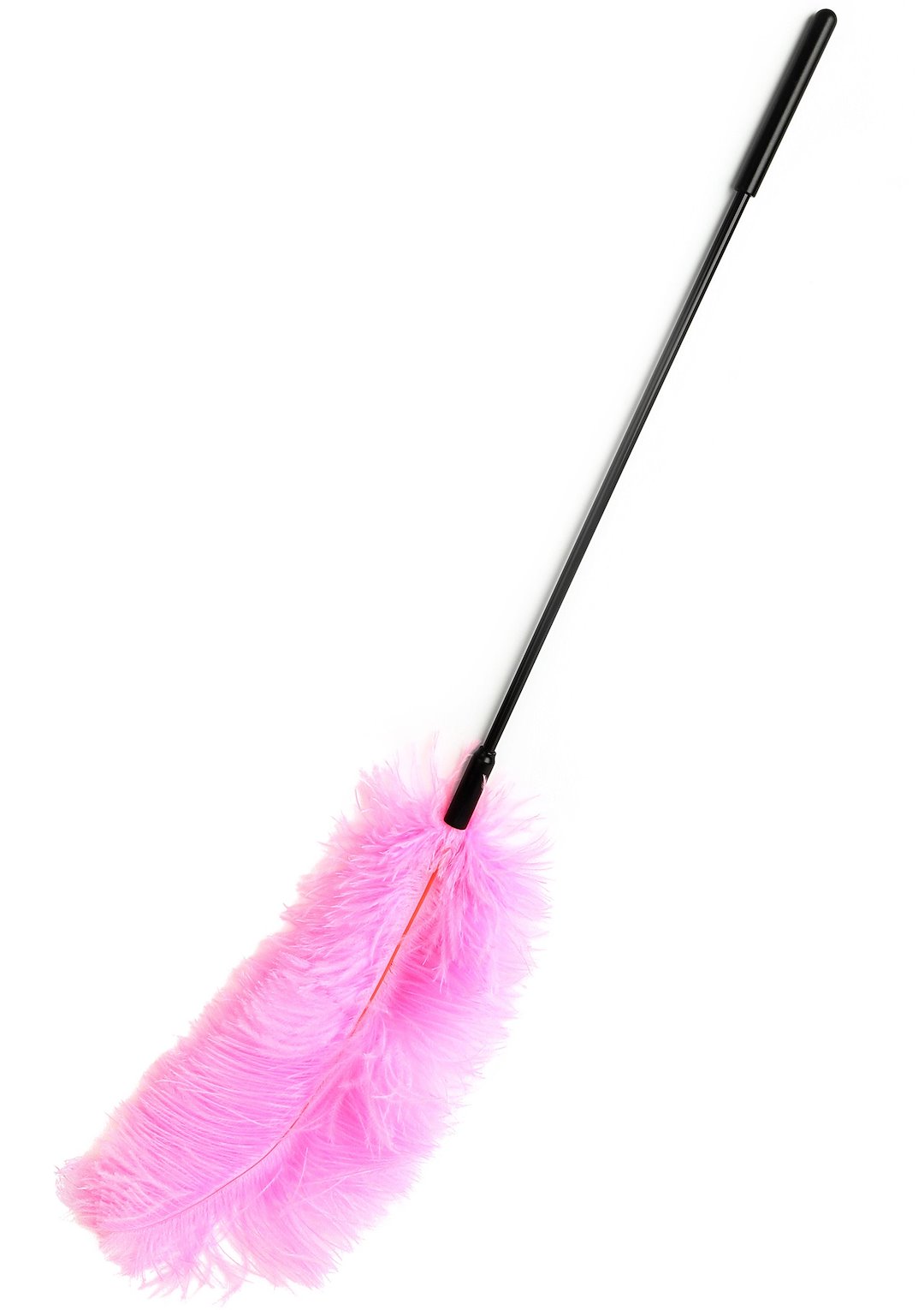 Hidden Desire - Double Feather Tickler